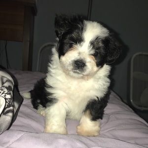 Meet your Posher, Melissa